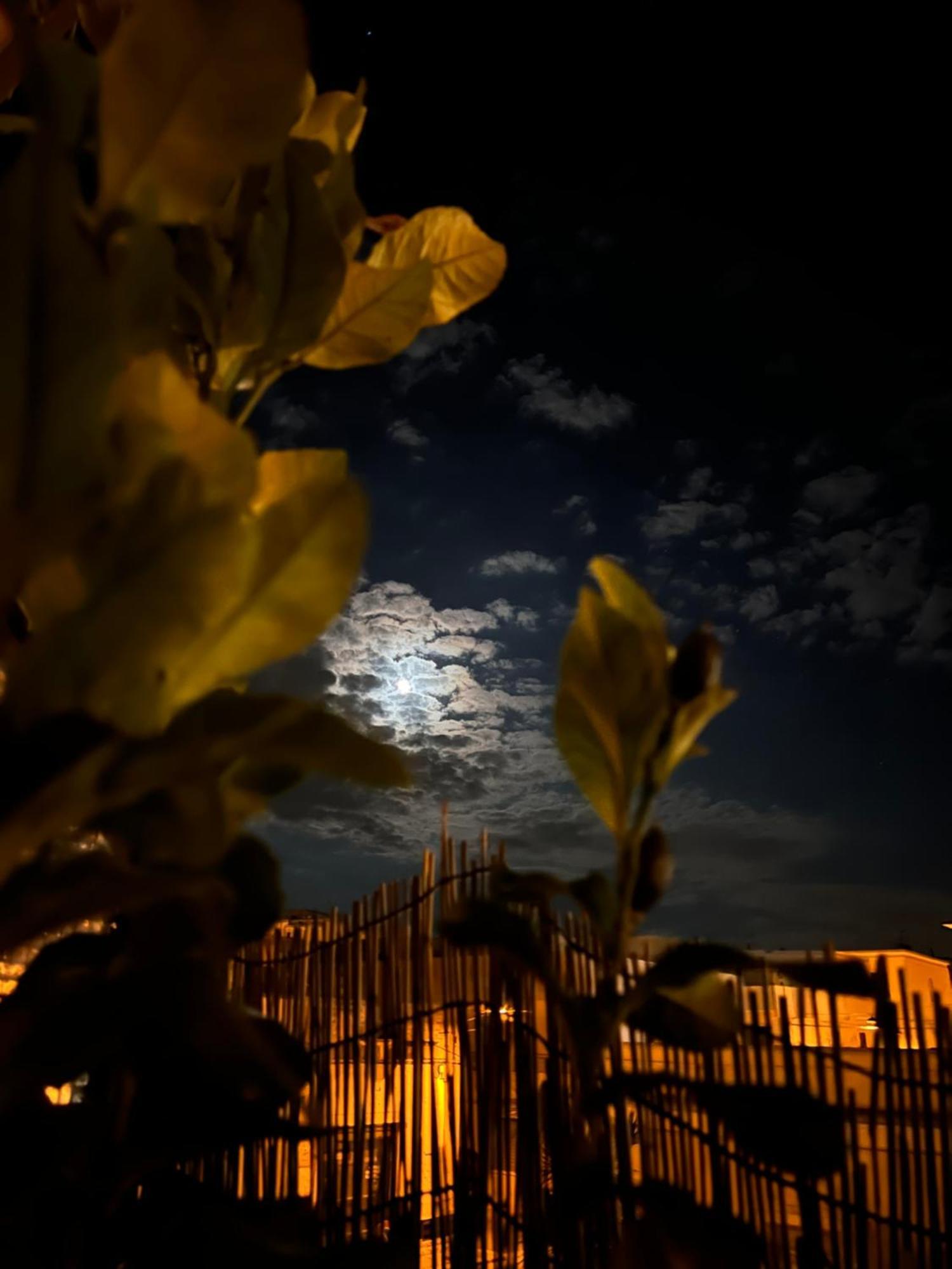 Сasa de vacaciones La Casetta Di Fiore *