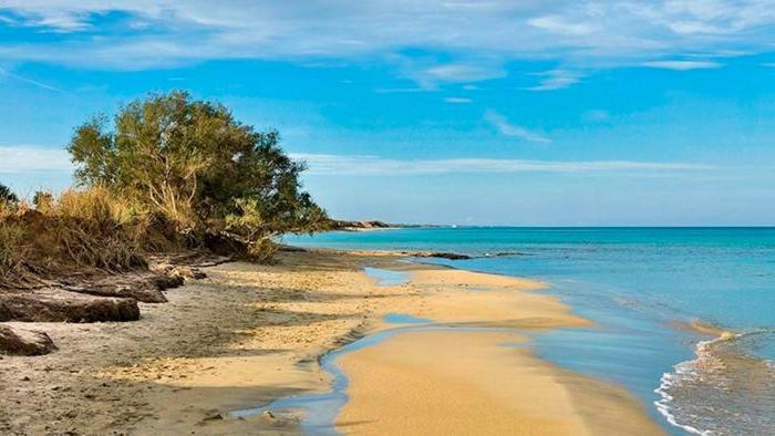 La Casetta Di Fiore * Selva Di Fasano